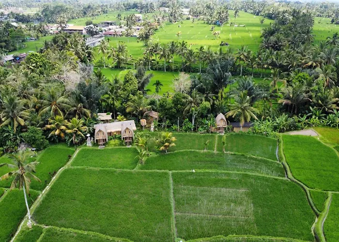 Kawig Bamboo House - Ricefield View, Eco Bamboo * Tampaksiring