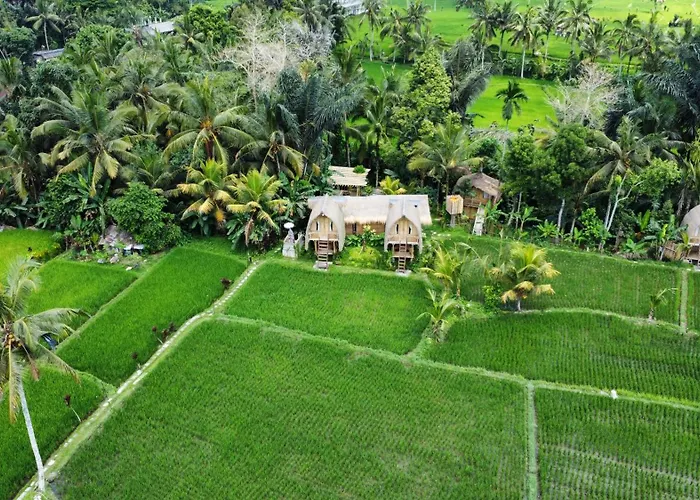 Ferienhaus Kawig Bamboo House - Ricefield View, Eco Bamboo