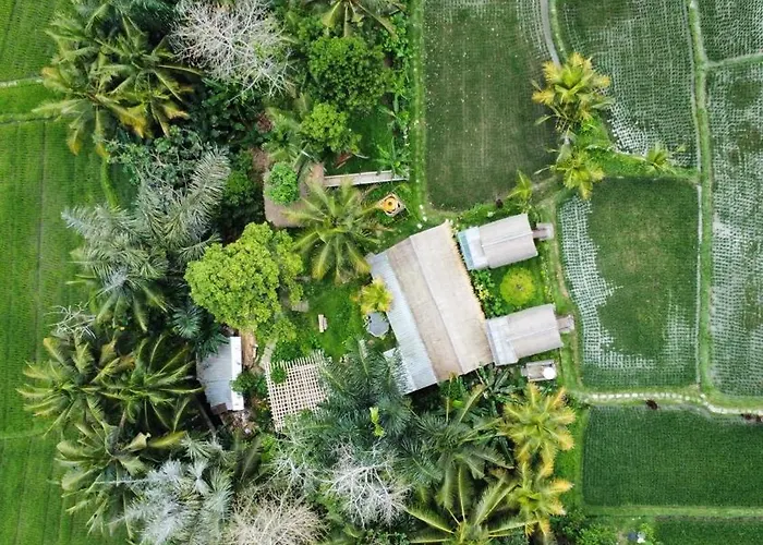 Ferienhaus Kawig Bamboo House - Ricefield View, Eco Bamboo *